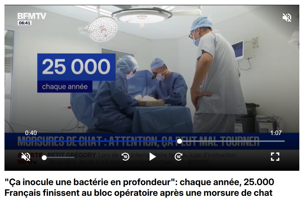 EXTRAIT REPORTAGE